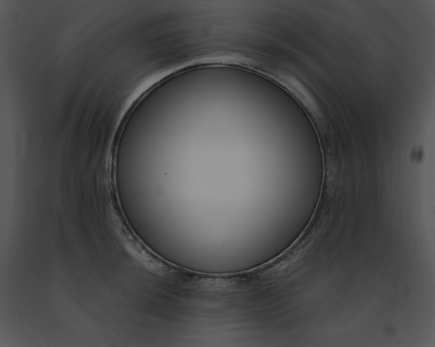 X0000091521044200708311244