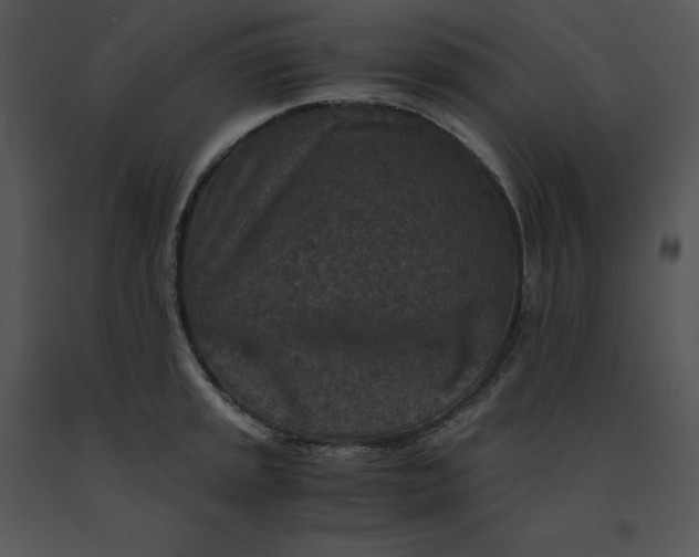 X0000091521045200708311244