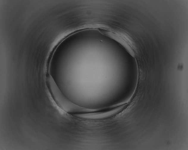 X0000091521046200708311244