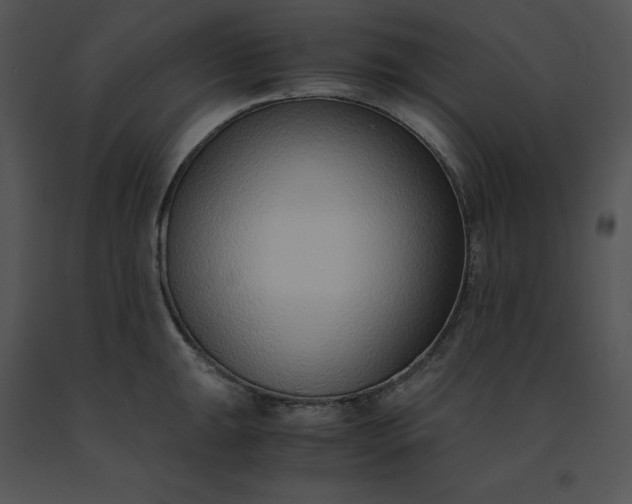 X0000091521047200708311244