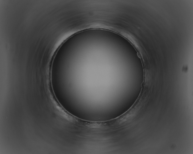 X0000091521048200708311244