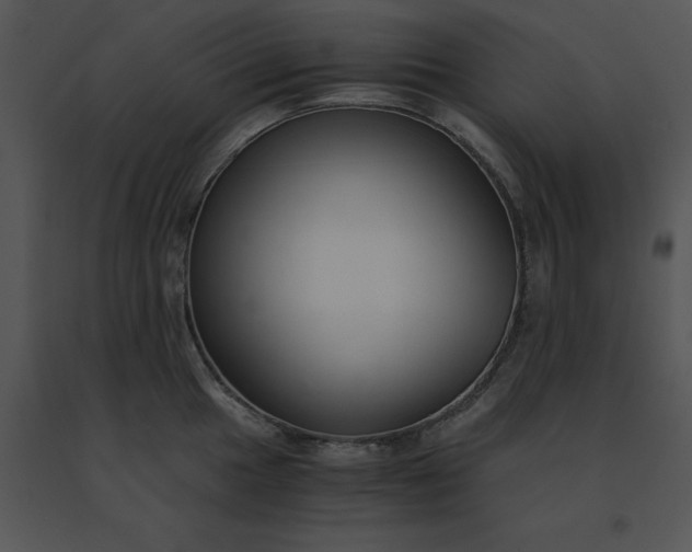 X0000091521049200708311244