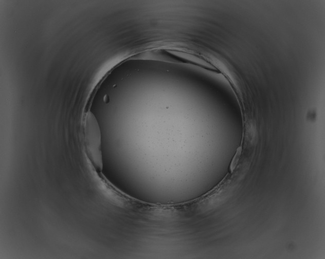 X0000091521050200708311244