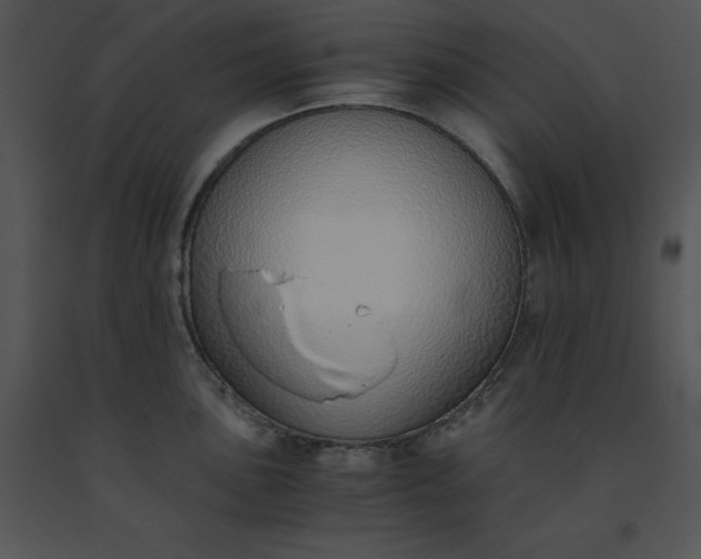 X0000091521051200708311244