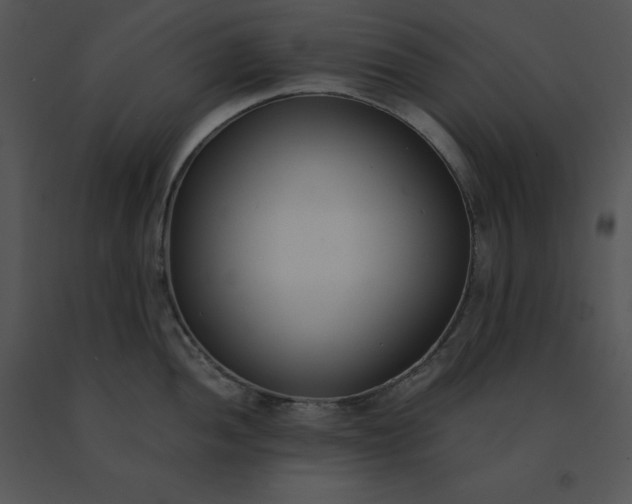 X0000091521052200708311244