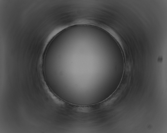 X0000091521053200708311244