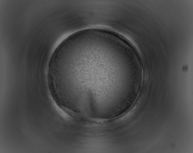 X0000091521054200708311244