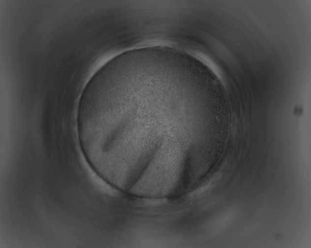 X0000091521055200708311244