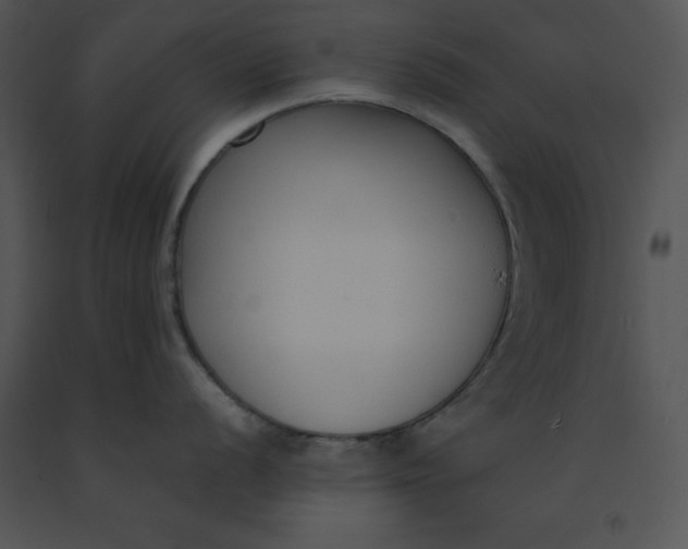 X0000091521056200708311244