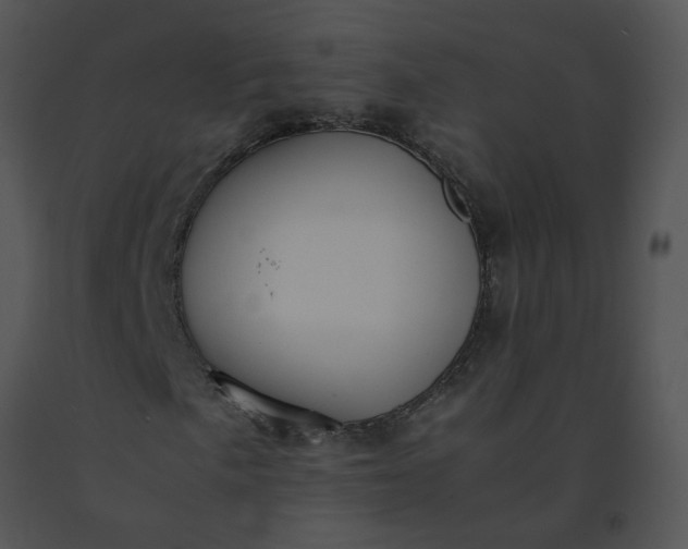 X0000091521057200708311244