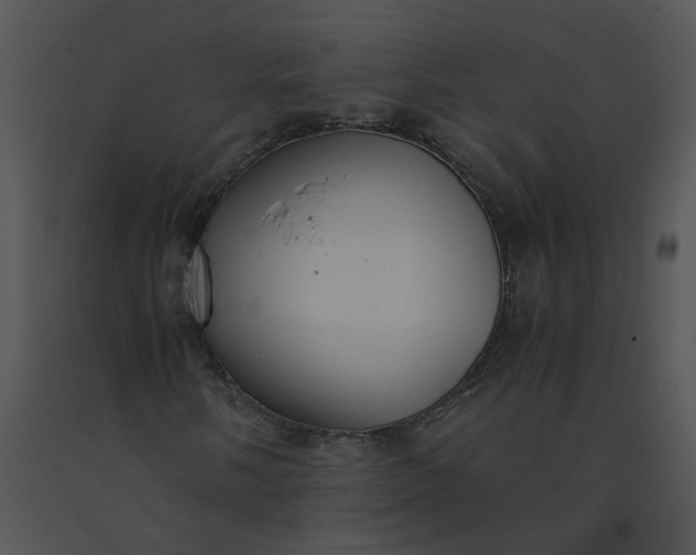 X0000091521058200708311244