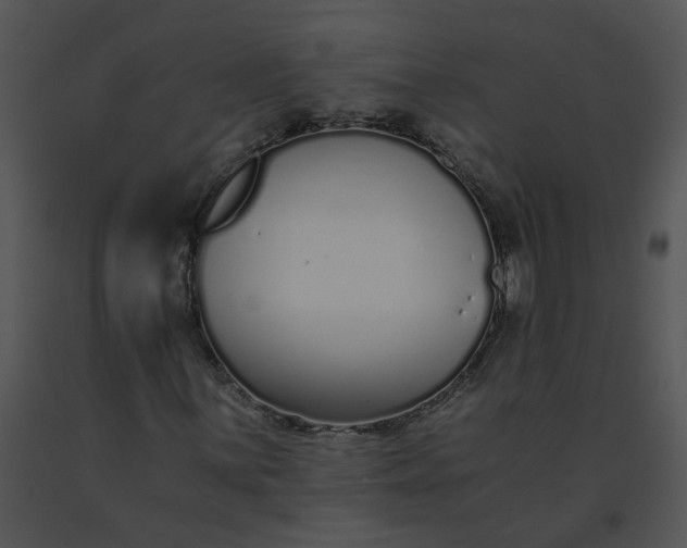 X0000091521059200708311244