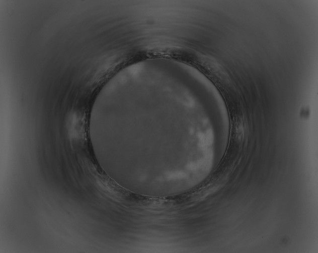 X0000091521060200708311244