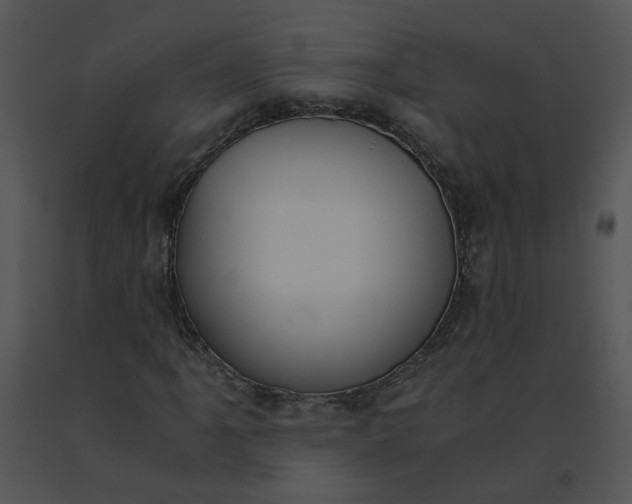 X0000091521061200708311244