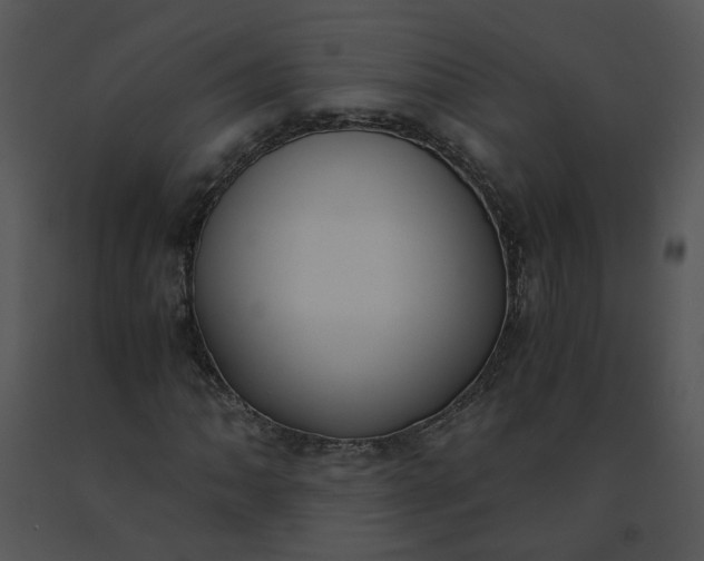 X0000091521062200708311244