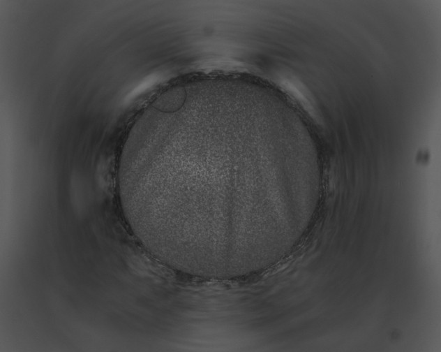 X0000091521063200708311243