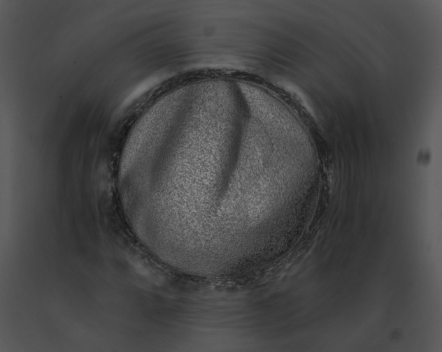 X0000091521064200708311243