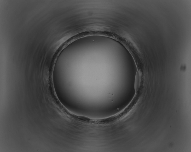 X0000091521065200708311243