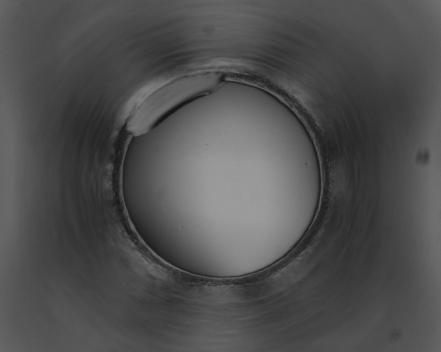 X0000091521066200708311243