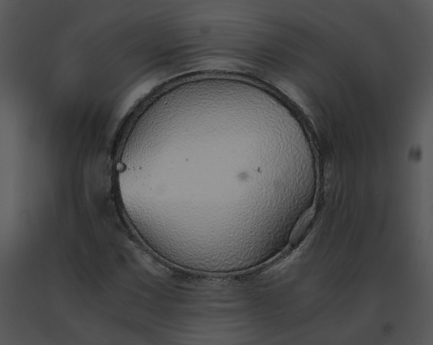 X0000091521067200708311243