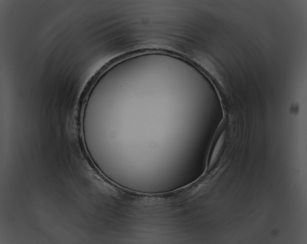 X0000091521068200708311243