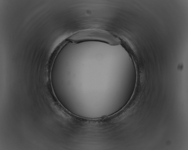 X0000091521069200708311243