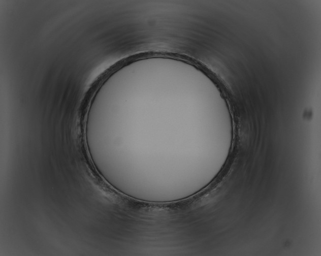 X0000091521070200708311243