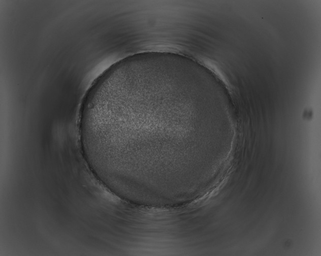 X0000091521071200708311243