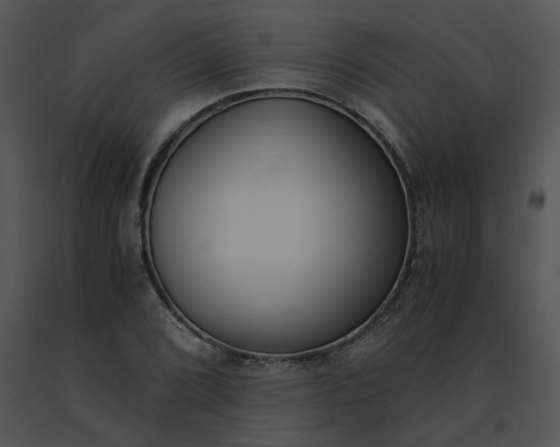 X0000091521072200708311243