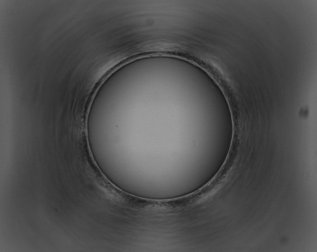 X0000091521073200708311243