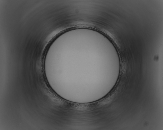 X0000091521074200708311243