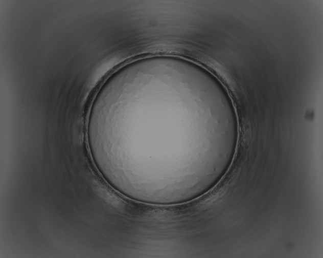 X0000091521075200708311243