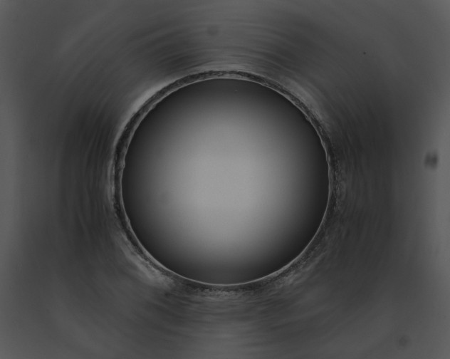 X0000091521076200708311243