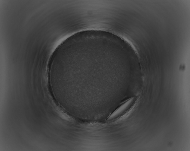 X0000091521077200708311243