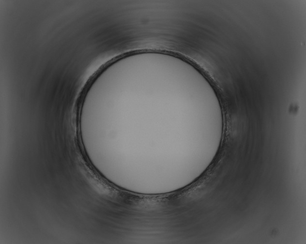 X0000091521078200708311243