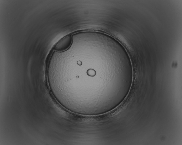 X0000091521079200708311243