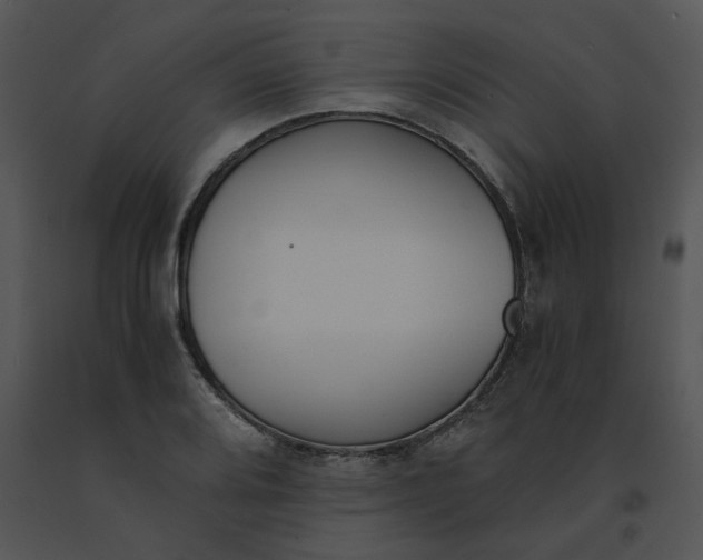 X0000091521080200708311243