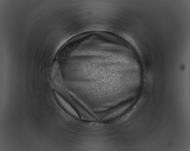 X0000091521081200708311243
