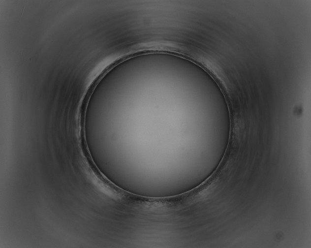 X0000091521082200708311243