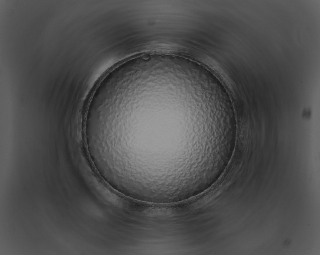 X0000091521083200708311243