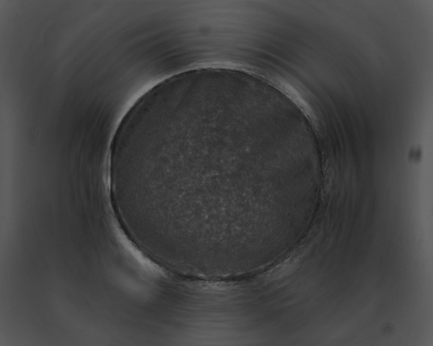 X0000091521084200708311243