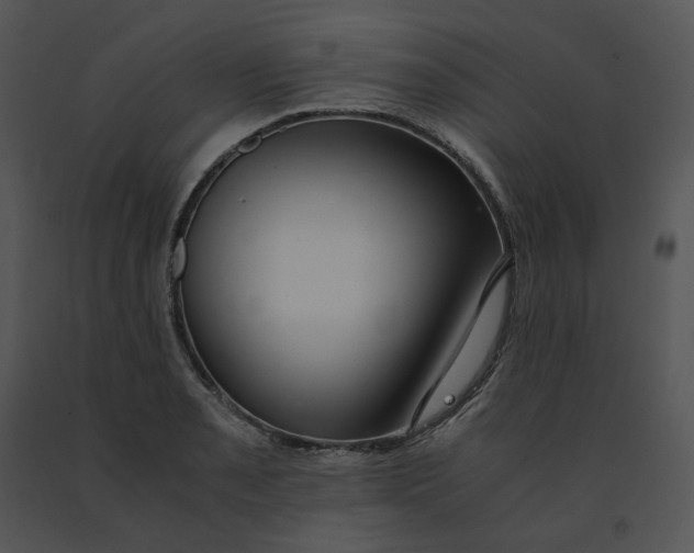 X0000091521085200708311243