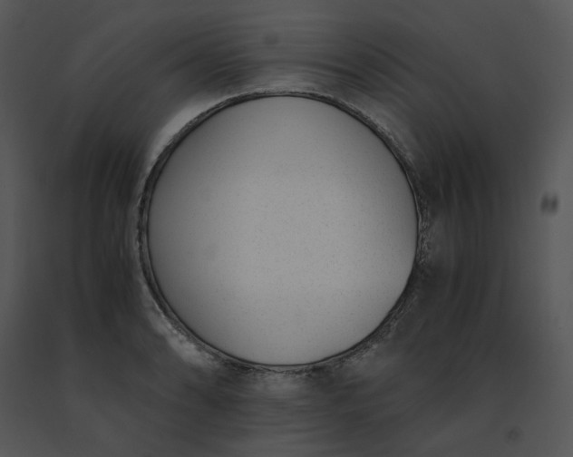 X0000091521086200708311243