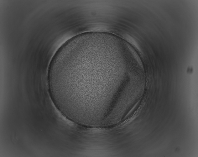 X0000091521087200708311243