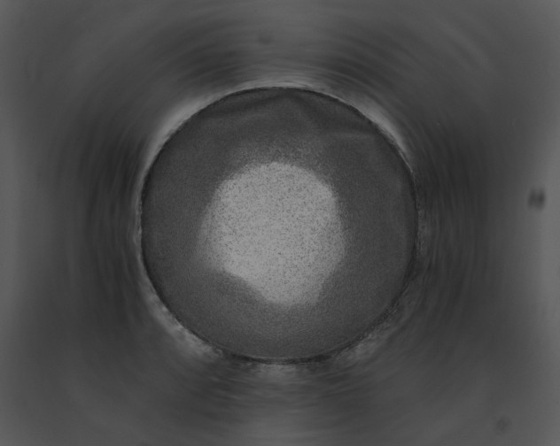 X0000091521088200708311243