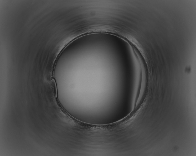 X0000091521089200708311243