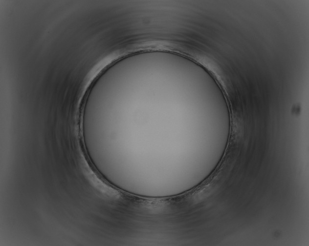 X0000091521090200708311243