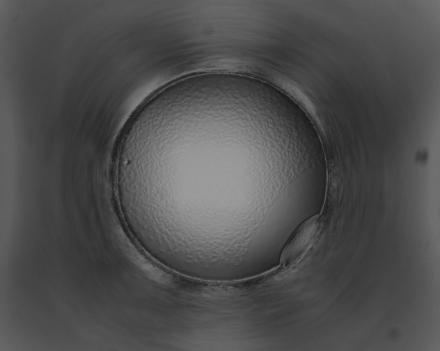 X0000091521091200708311243