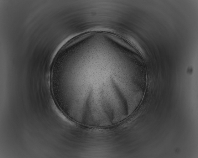 X0000091521092200708311243