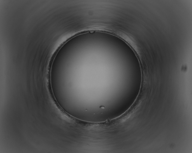 X0000091521093200708311243